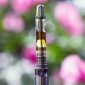 Cannabis Vape Flavors