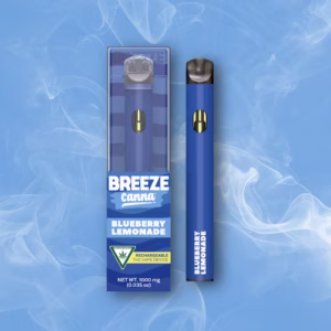 Bursting Blueberry Lemonade – THC Disposable